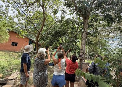 Cosecha de frutas tropicales durante el tour en el Tolima