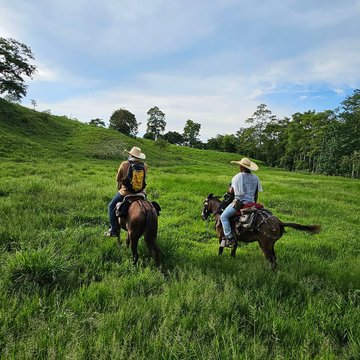 Cabalgata ecológica - Pijao's Colombia Tours