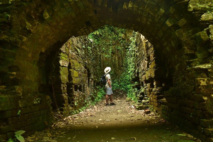 Caminata ecológica - Pijao's Colombia Tours
