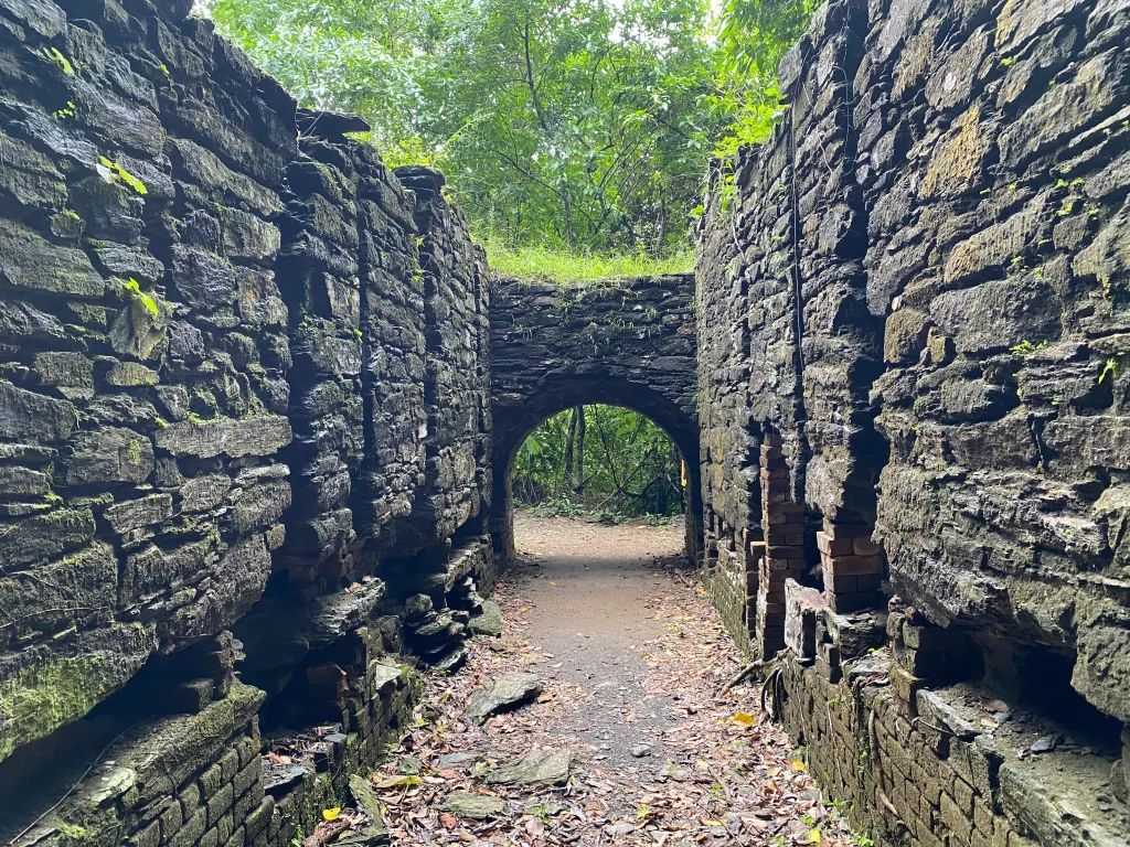 Falan - Aventura y misterio, destino de Pijao's Colombia Tours