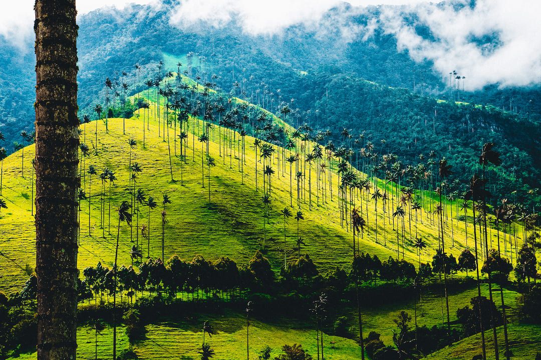 Salento - Cuna del Quindío, destino de Pijao's Colombia Tours